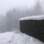 Petite Marmotte Lägenhet *